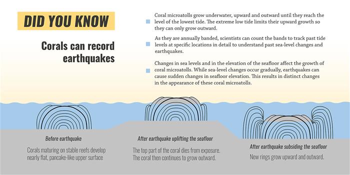 MentawaiEq_Image3_Coral infographic MentawaiEq_Image3_Coral infographic