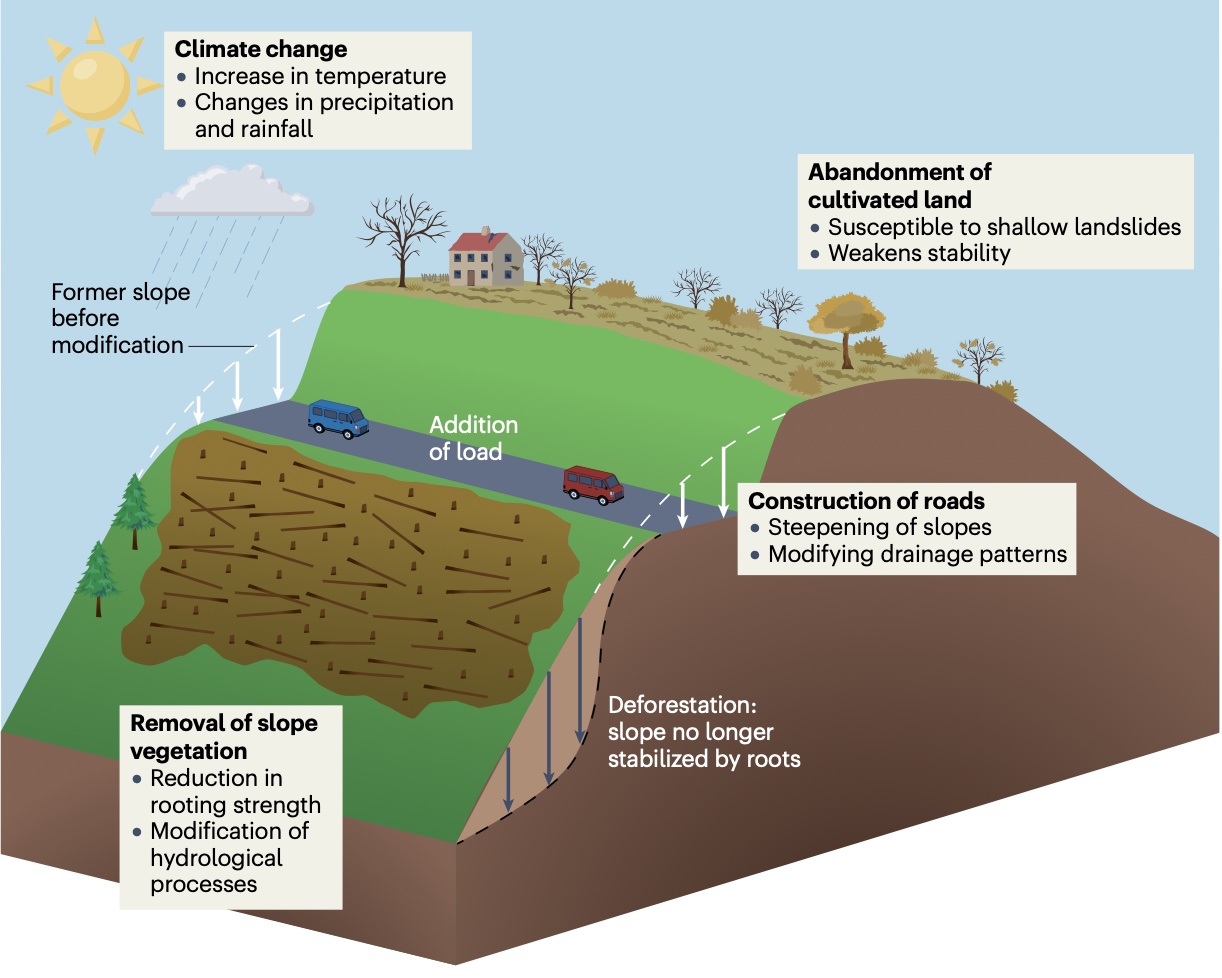 Screenshot 2024-05-14 at 1.17.36 PM[56]