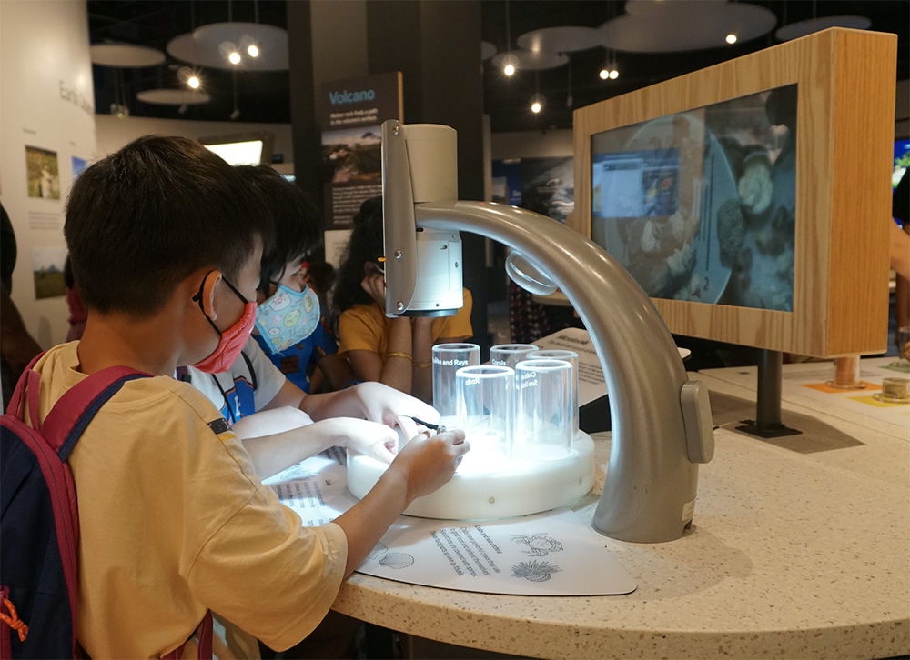 Interactive exhibits encourage hands-on learning for visitors of all ages (Source: Rachel Siao/Earth Observatory of Singapore)