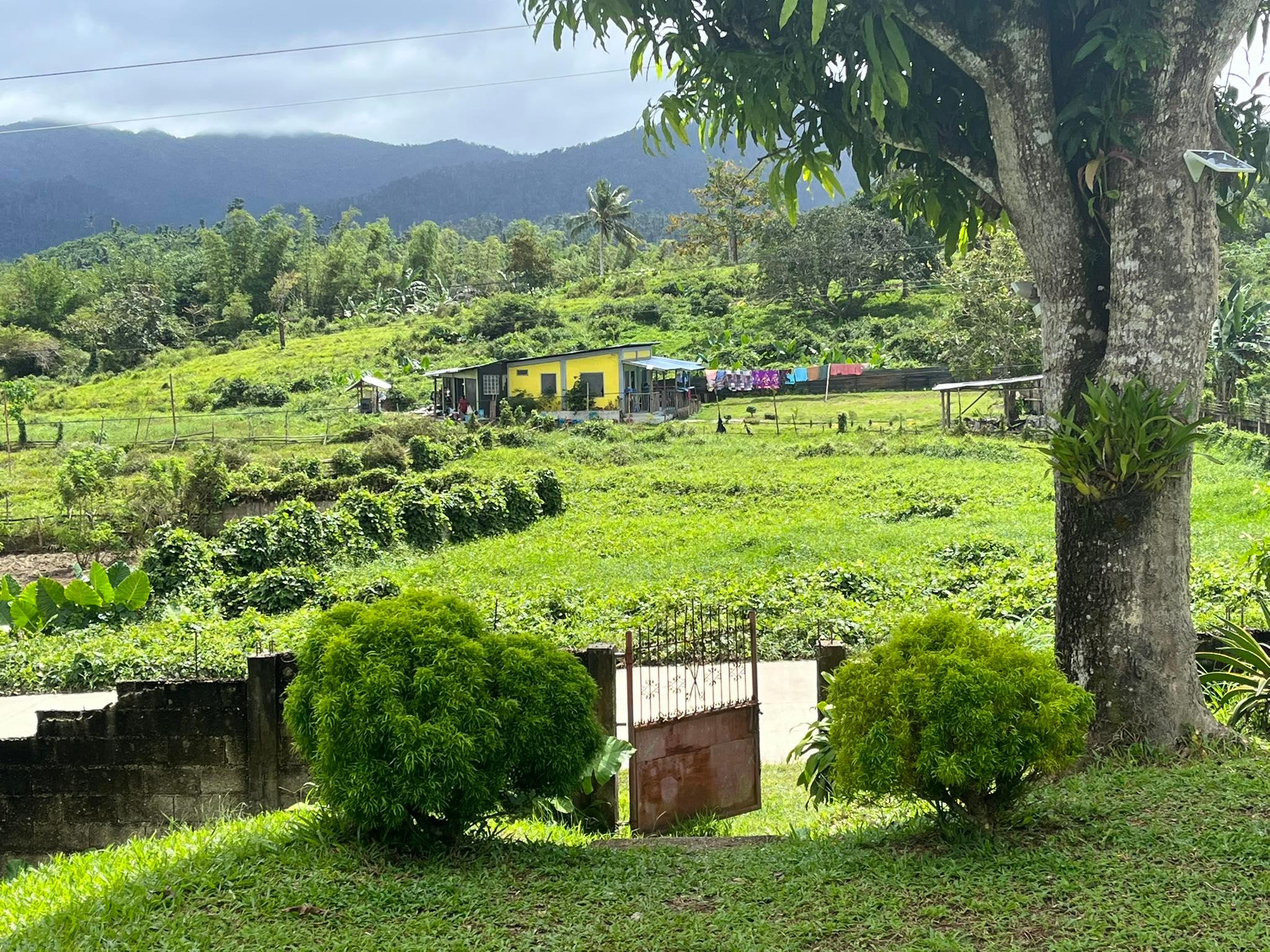 Image14_Junalynsibling