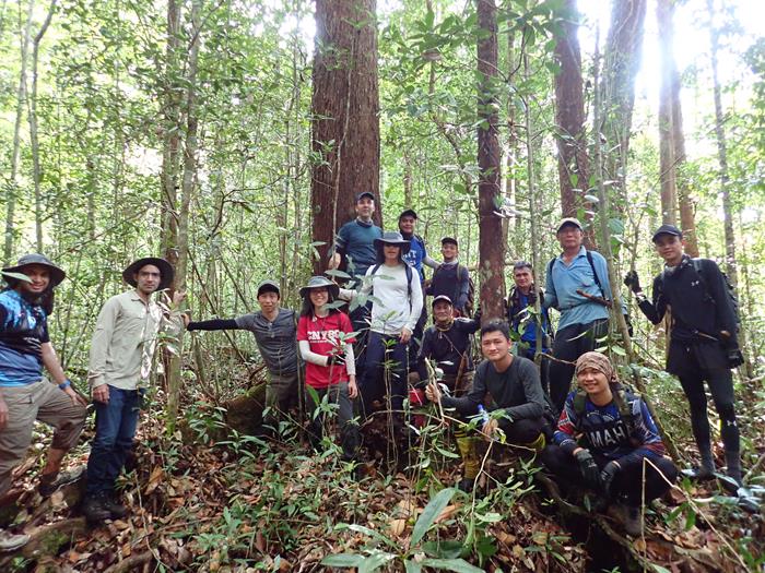 Members of EOS-RS and CGO, together with collaborators from SMART, UBD and the National University of Singapore pose inside the peatland forest (Source: Afnan Alizan/University of Brunei Darramsala)
