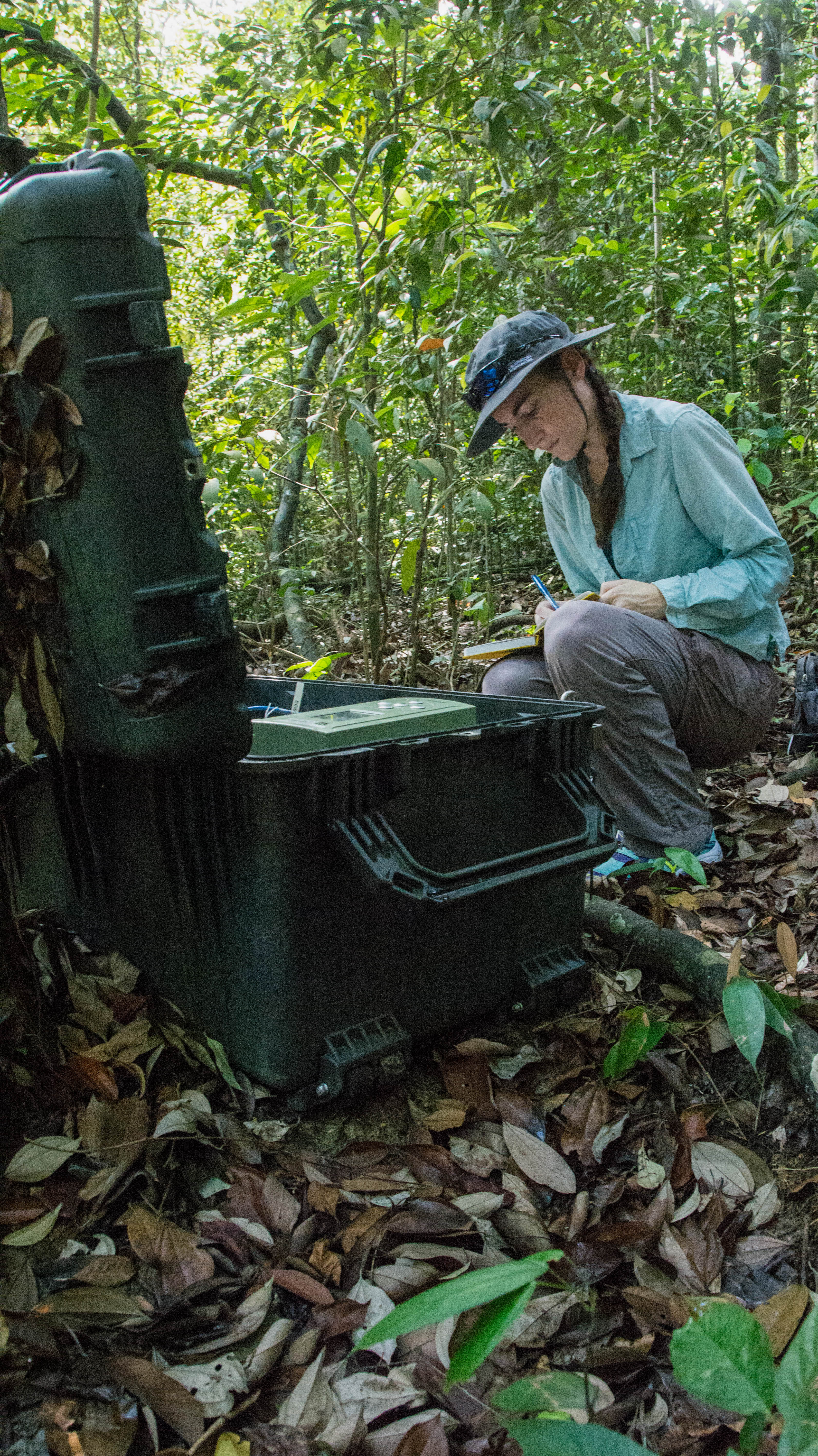 annawithinfrasoundmacritchie