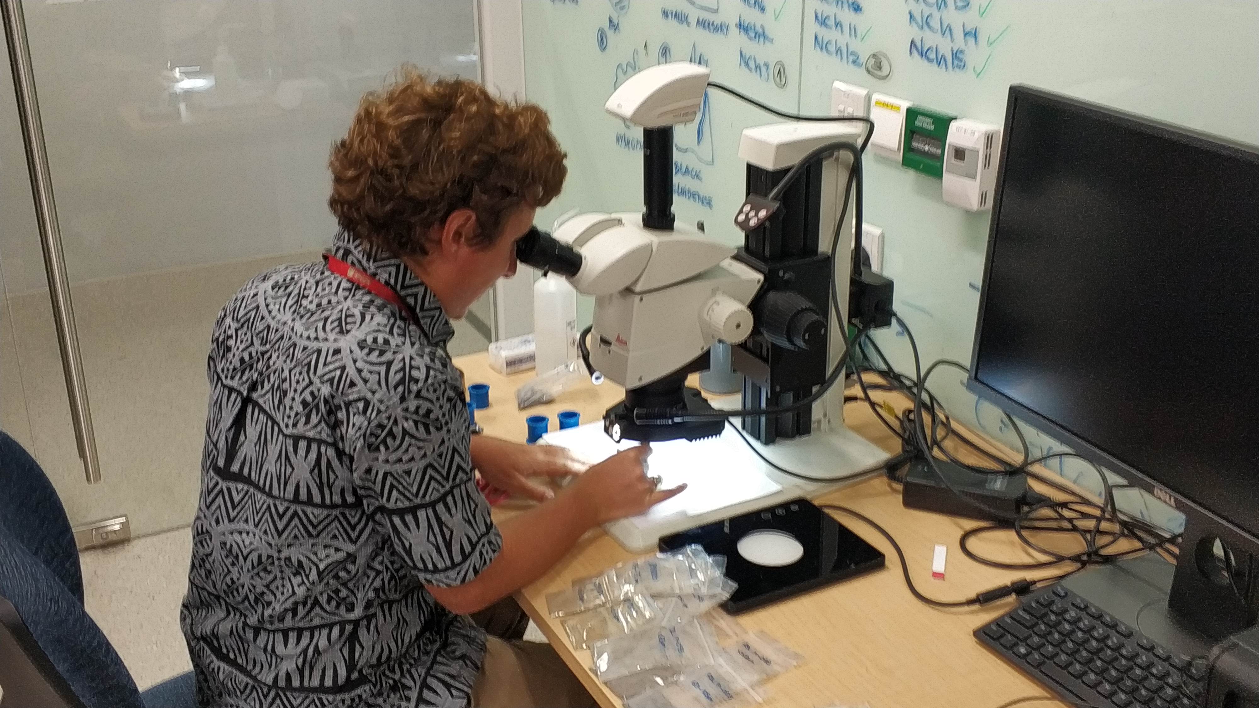 microscpe_lab2 microscpe_lab2