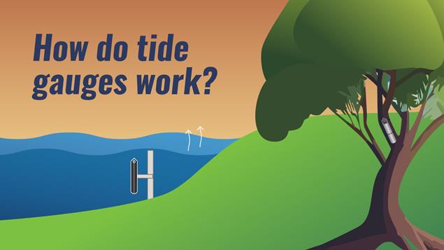 What is a tide gauge?