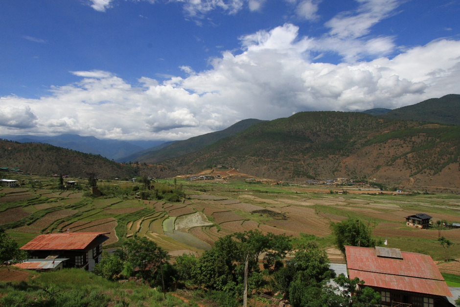 Colourful Fields - Terracing delineates Bhutan's terrain  (Source: Skye Lee)