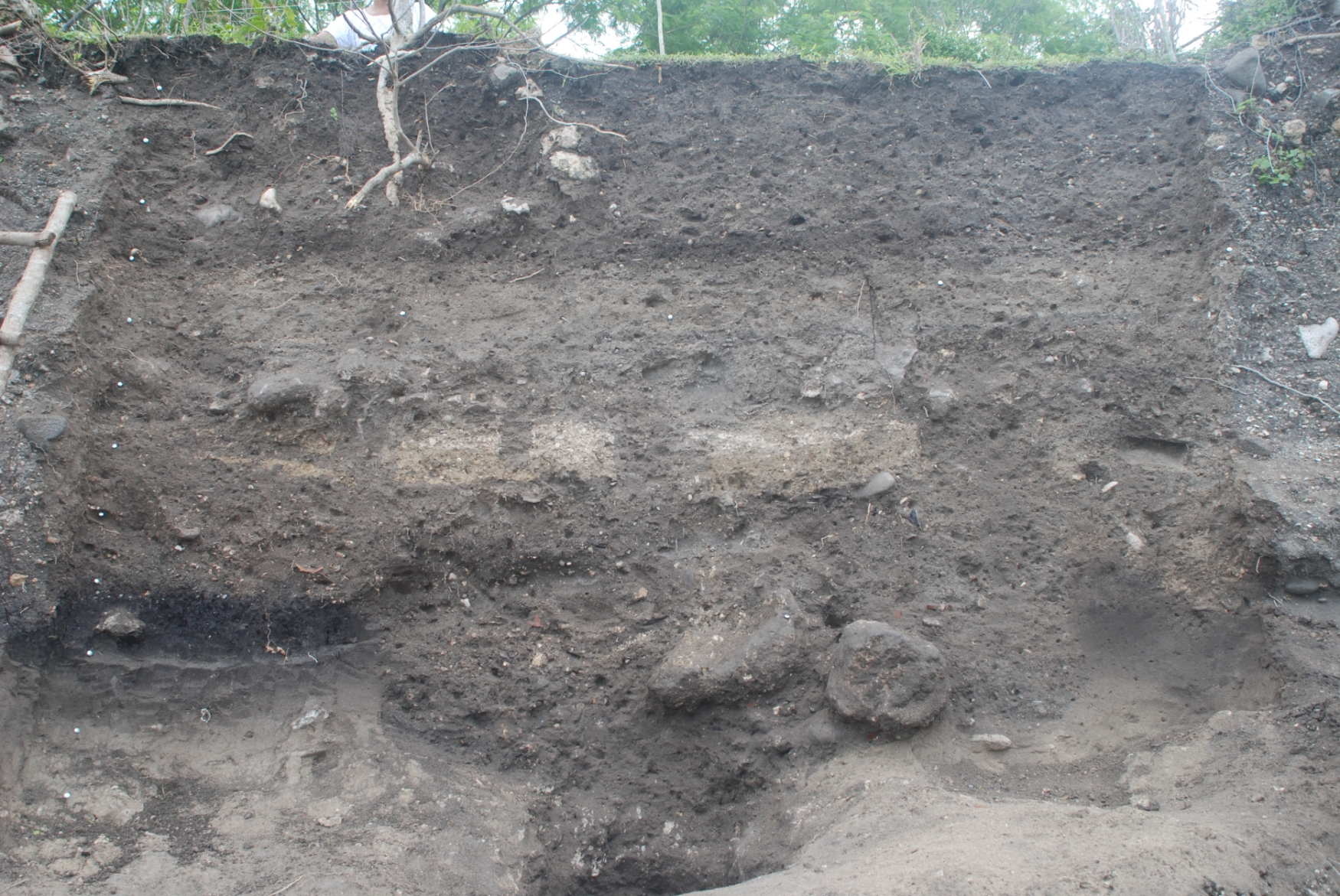 Cleaned back beach cliff showing a series of intercutting pits dating from the early 13th century, covered by a crushed lime foundation for a structure. The deposit directly above the structure was laid down by a tsunami around the end of the 14th century (Source: Patrick Daly/Earth Observatory of Singapore) Cleaned back beach cliff showing a series of intercutting pits dating from the early 13th century, covered by a crushed lime foundation for a structure. The deposit directly above the structure was laid down by a tsunami around the end of the 14th century (Source: Patrick Daly/Earth Observatory of Singapore)