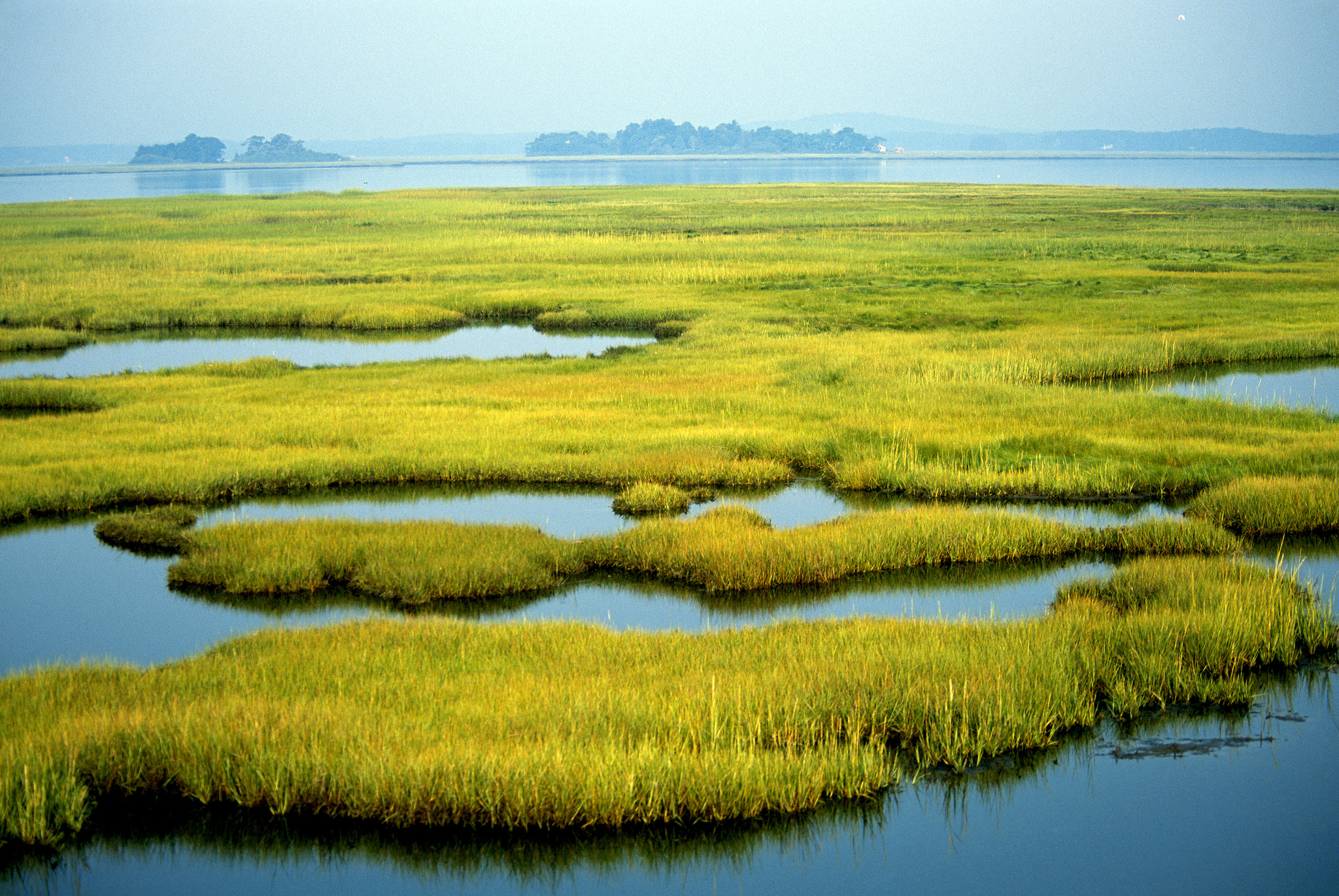 Coastal Wetlands at Parker River National Wildlife Refuge in Newburyport, MA (Source: Kelly Fike/USFWS)