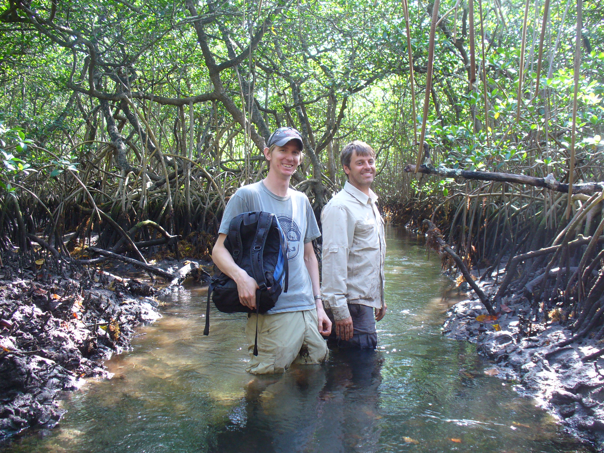 Professor Ben Horton (right) and a fellow scientist collecting field data for their research on the impacts of sea levels on mangroves (Source: Benjamin Horton/Earth Observatory of Singapore)