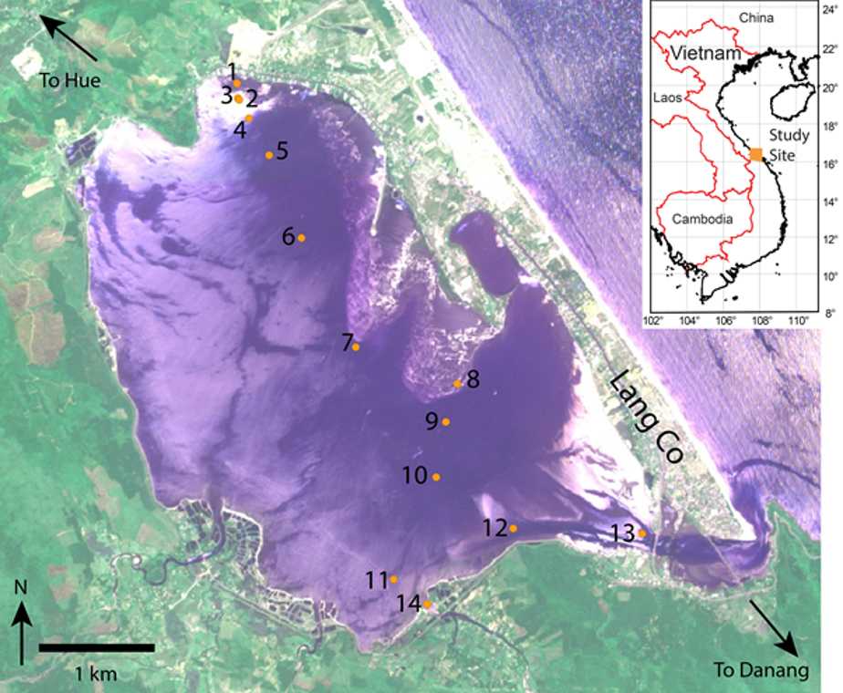 Lap An Lagoon in central Vietnam showing the location and distribution of grab sample sites (black numbers) representative of the sub-environments within the lagoon (Source: RapidEye satellite image collected on 23 April 2012) Lap An Lagoon in central Vietnam showing the location and distribution of grab sample sites (black numbers) representative of the sub-environments within the lagoon (Source: RapidEye satellite image collected on 23 April 2012)