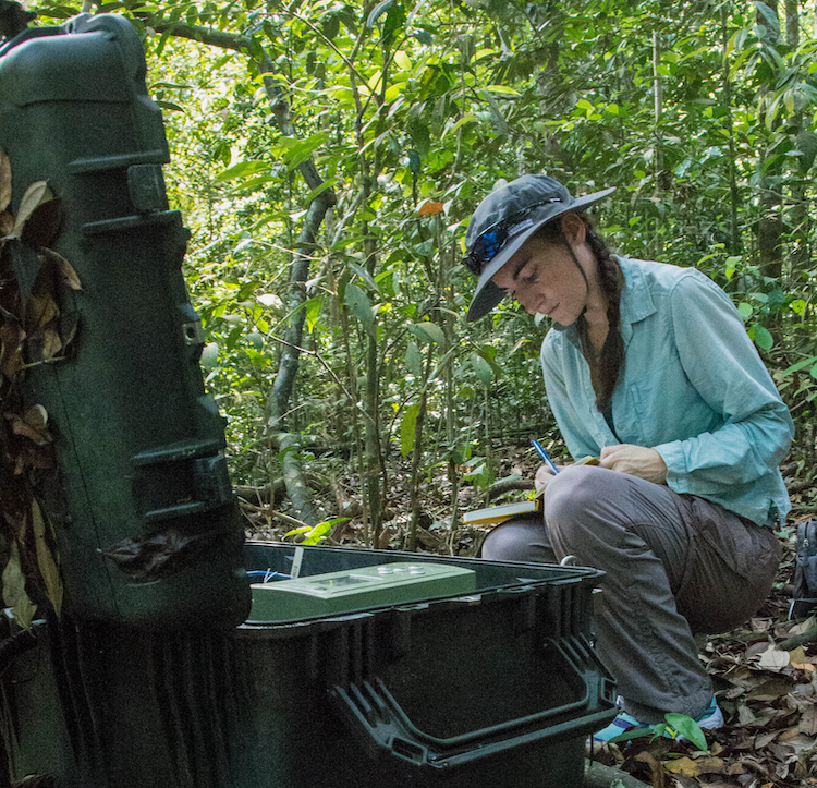 Research Associate Anna Perttu maintains a station from the Singapore Infrasound Network (Source: Benoit Taisne/Earth Observatory of Singapore) Research Associate Anna Perttu maintains a station from the Singapore Infrasound Network (Source: Benoit Taisne/Earth Observatory of Singapore)