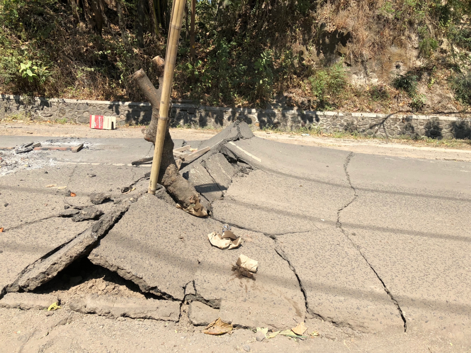 A surface rupture (Source: Barry Chua) A surface rupture (Source: Barry Chua)