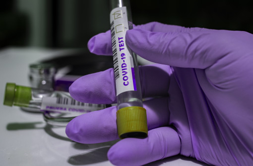 Pandemics & Natural Hazards: Rebuilding Public Health and the Natural Environment After the COVID-19 Pandemic
