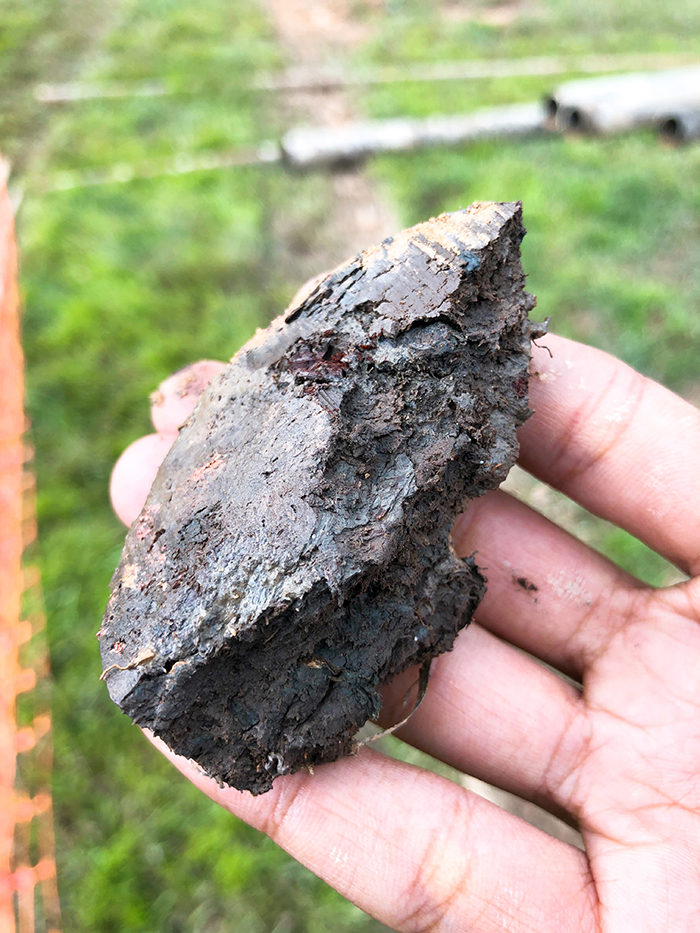 A fossilised wood fragment, as extracted from one of the Jurong Lake sediment cores, that can be carbon-dated to reveal the age of a core (Source: Yudhishthra Nathan/Asian School of the Environment)