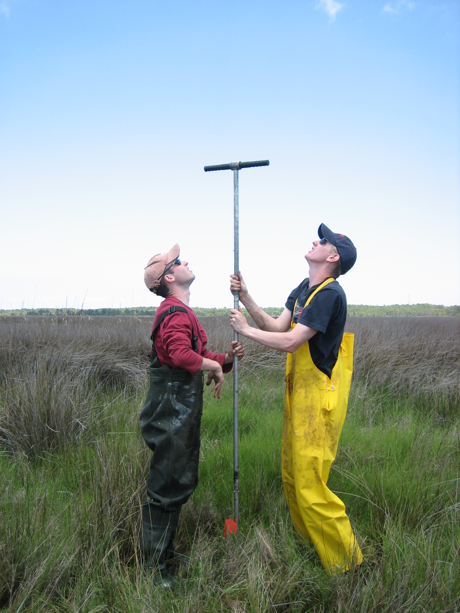 Graduate students perform coring to extract salt-marsh sediments, which contain a record of past sea-level changes (Source: Benjamin Horton)