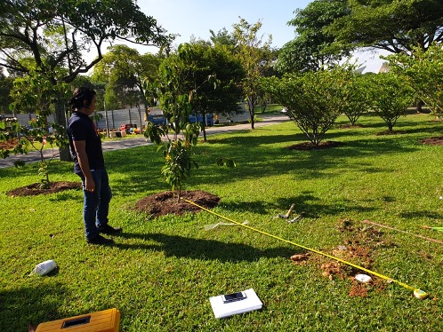 Installing a node in Jurong Central Park in March 2019 (Source: Karen Lythgoe/Earth Observatory of Singapore)