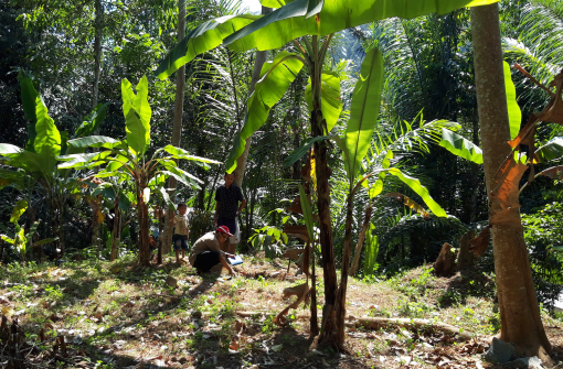 How a Volcano Influenced Earthquakes in Lombok, Indonesia