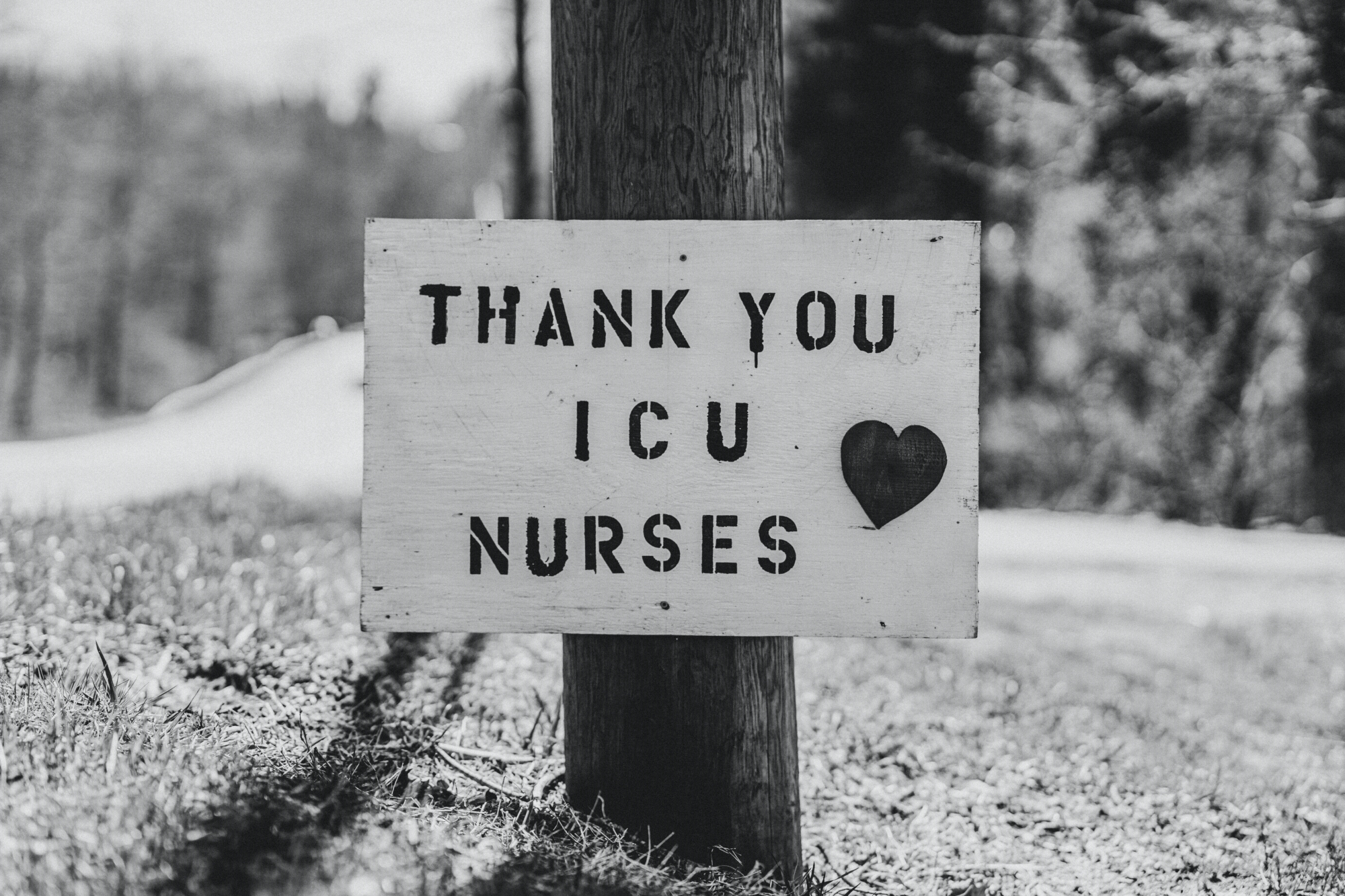 A ‘Thank You’ sign on a telephone pole in Connecticut, USA, to celebrate the efforts of ICU nurses during the COVID-19 pandemic (Source: Nicholas Bartos/Unsplash) A ‘Thank You’ sign on a telephone pole in Connecticut, USA, to celebrate the efforts of ICU nurses during the COVID-19 pandemic (Source: Nicholas Bartos/Unsplash)