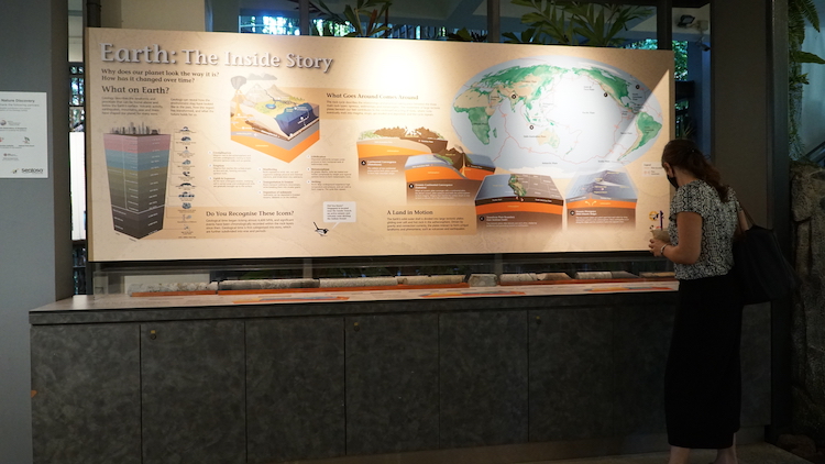 The rock collection of the Geology Gallery is complemented by compelling displays (Source: Rachel Siao/Earth Observatory of Singapore) The rock collection of the Geology Gallery is complemented by compelling displays (Source: Rachel Siao/Earth Observatory of Singapore)
