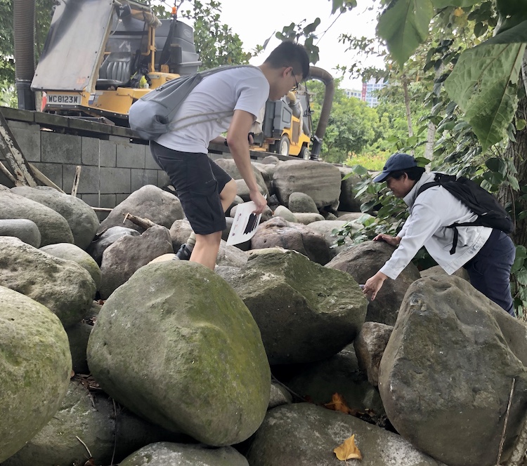 Rock collection at Punggol Point, in collaboration with Sentosa Development Corporation, Building Construction Authority, and the National Parks Board (Source: Lauriane Chardot/Earth Observatory of Singapore) Rock collection at Punggol Point, in collaboration with Sentosa Development Corporation, Building Construction Authority, and the National Parks Board (Source: Lauriane Chardot/Earth Observatory of Singapore)