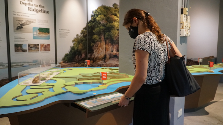The Gallery also contains a 3D model of Sentosa with hidden drawers (Source: Rachel Siao/Earth Observatory of Singapore) The Gallery also contains a 3D model of Sentosa with hidden drawers (Source: Rachel Siao/Earth Observatory of Singapore)