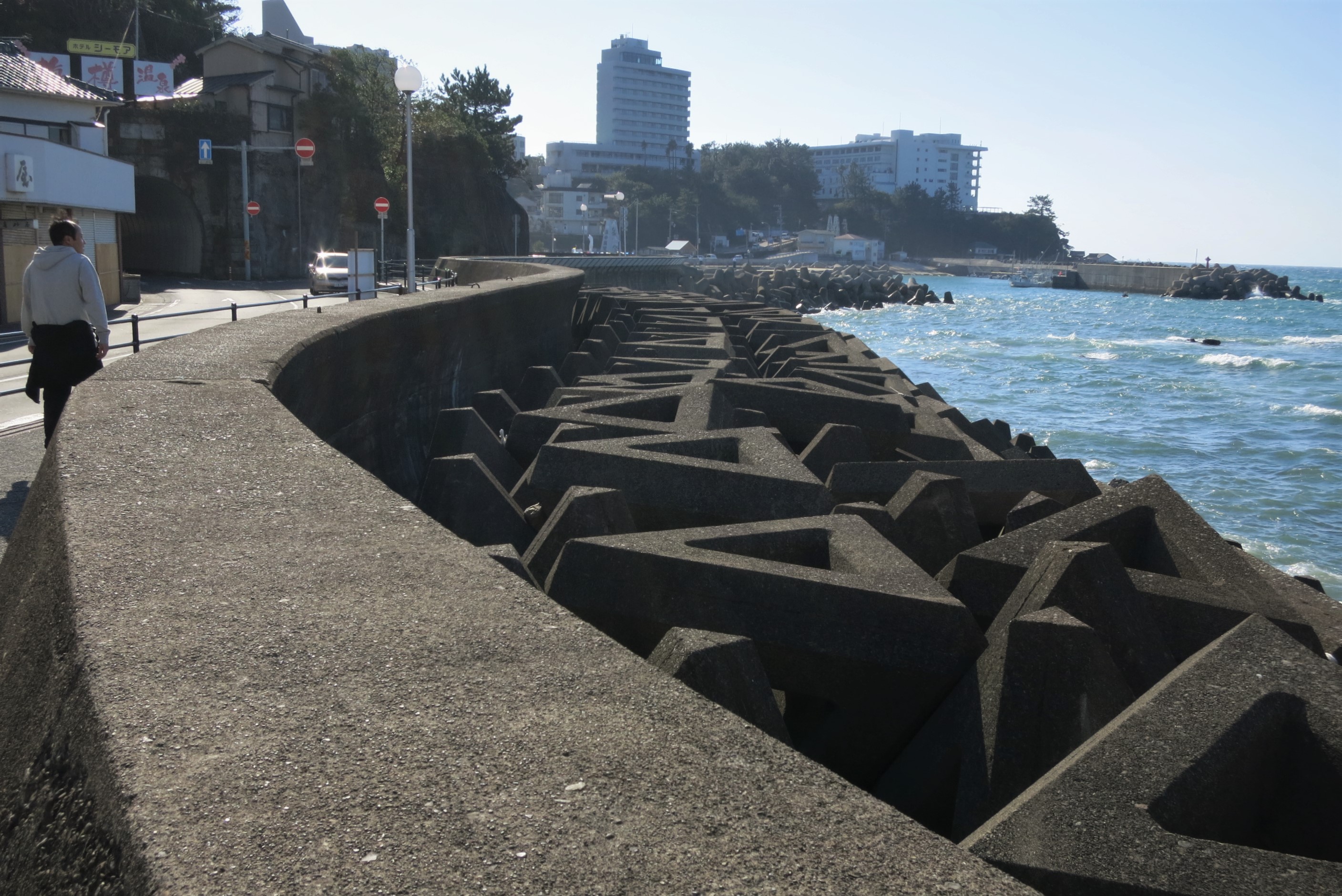 Seawalls, as pictured above, can effectively protect against tsunamis and coastal flooding (Source: Wikimedia Commons)