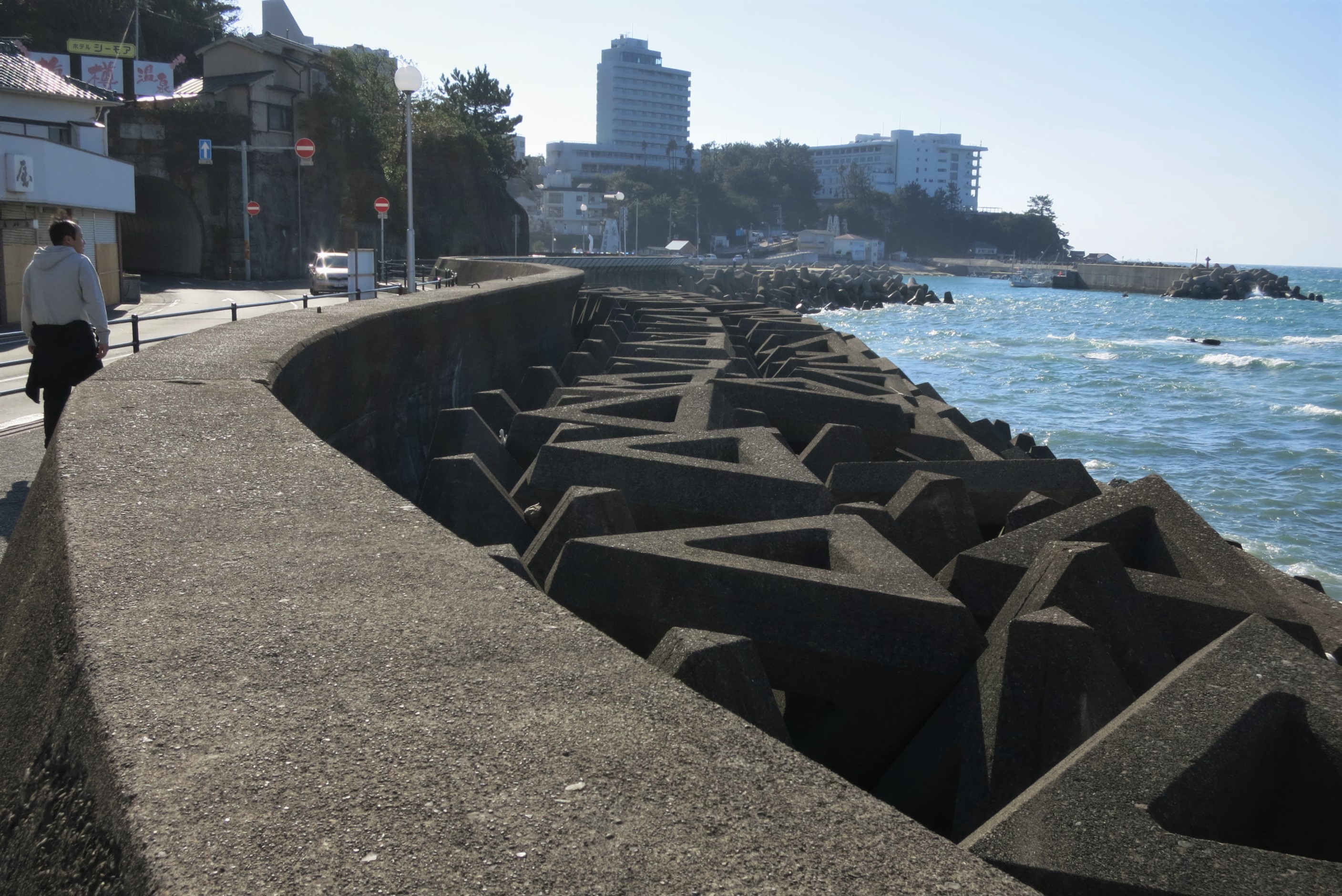 Seawalls, as pictured above, can effectively protect against tsunamis and coastal flooding (Source: Wikimedia Commons) Seawalls, as pictured above, can effectively protect against tsunamis and coastal flooding (Source: Wikimedia Commons)
