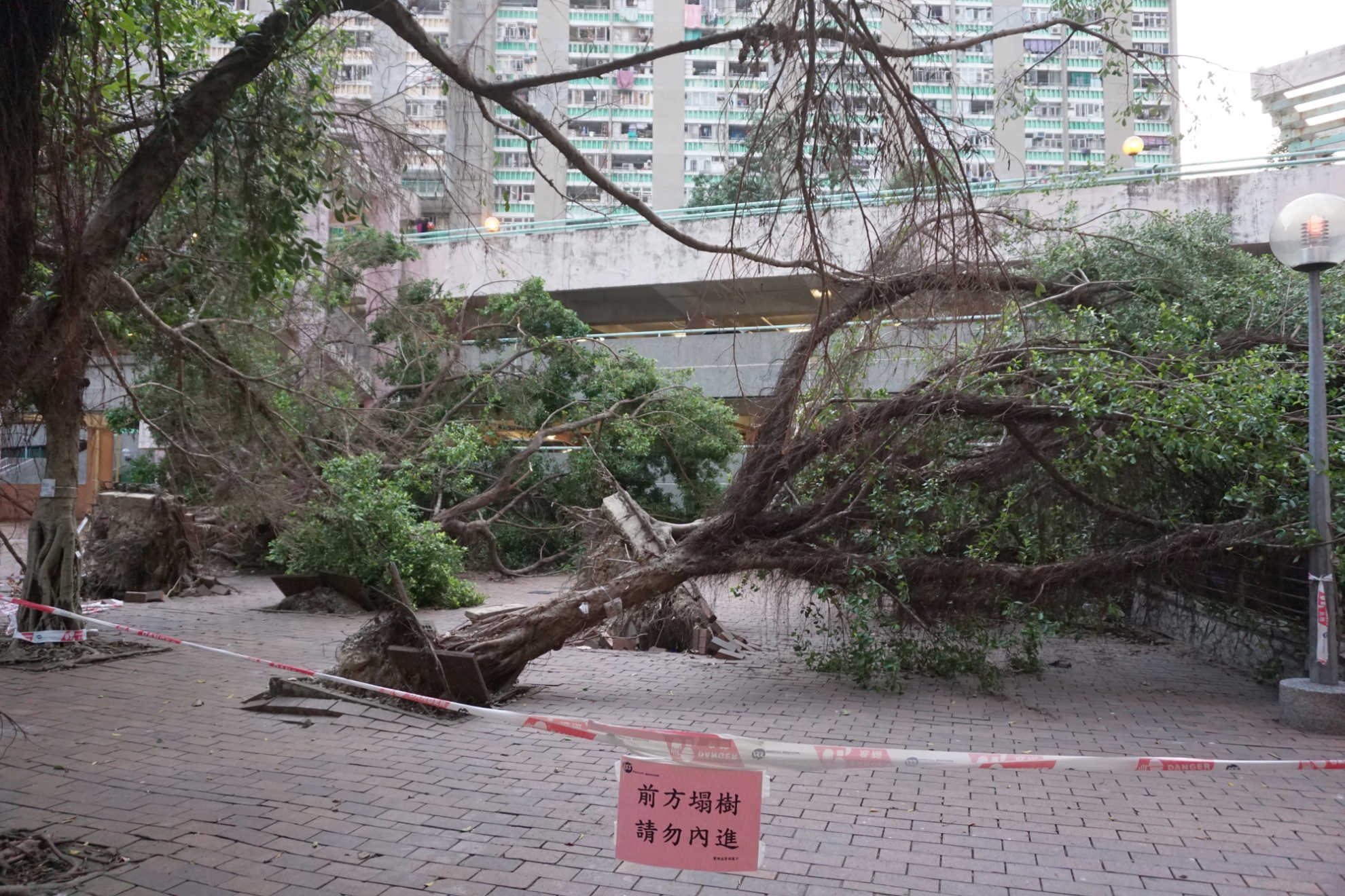 Destruction caused by 2018's Super Typhoon Mangkhut in Kwun Tong, Hong Kong (Source: Prosperity Horizons/Wikimedia Commons) Destruction caused by 2018's Super Typhoon Mangkhut in Kwun Tong, Hong Kong (Source: Prosperity Horizons/Wikimedia Commons)