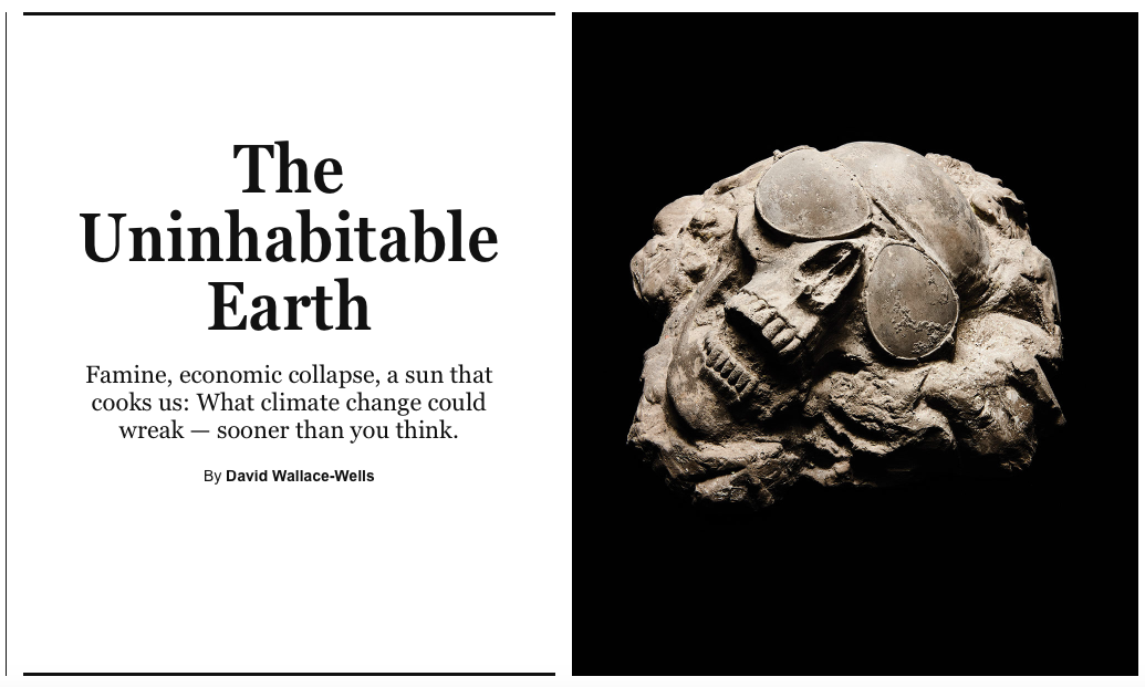 In an effort to convey the urgency of climate change, media outlets may turn to sensationalising scientific findings in order to capture their audience's attention (Source: New York Magazine/ David Wallace-Wells)