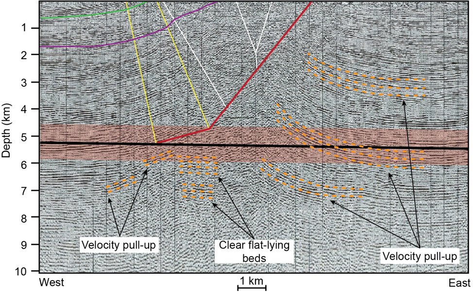 Seismic reflection profiles image subsurface faulting and folding above a nearly horizontal megathrust. Seismic reflection data like this show layers within the Earth that reflect acoustic energy. Here, these layers are folded sedimentary beds. However, interpreting these images can be tricky because not all of the apparent folding is real - some are generated by variations in the seismic velocities (“velocity pull-ups”). Figure modified from Bürgi et al. (2021).
