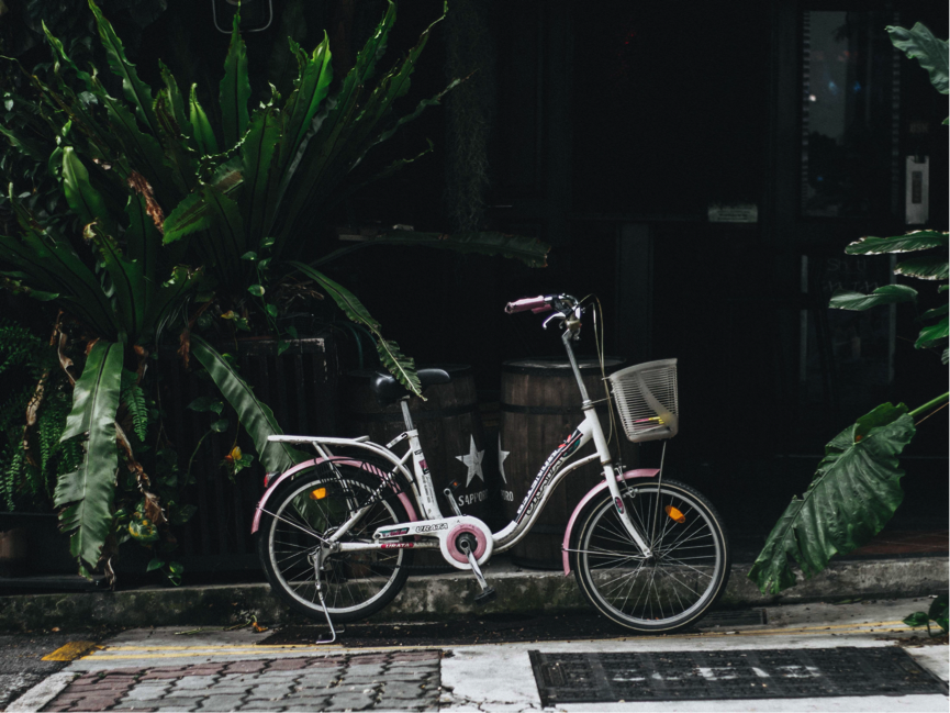 (Source: Lily Banse/Unsplash) (Source: Lily Banse/Unsplash)