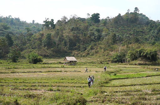 Covered in Golden Dust: Learning to Survey Active Faults in Myanmar