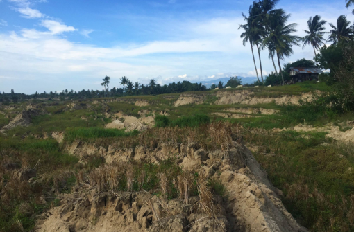 Rice irrigation intensified landslides in the deadliest earthquake of 2018, finds NTU study