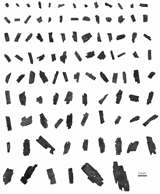 108 plagioclase from the backscatter electron image of the whole thin section from Mayon volcano. It is outlined using our automated software called Crystal Extraction 1.0. These crystals show a large variety of zoning patterns, with one to four chemical distinct zones and includes sieve texture and resorptions. The large variety of 2D sections make it difficult to determine how many different crystal populations there are, and the extent to which such variety is due just to the random cut effect. (Source: Lilu Cheng) 108 plagioclase from the backscatter electron image of the whole thin section from Mayon volcano. It is outlined using our automated software called Crystal Extraction 1.0. These crystals show a large variety of zoning patterns, with one to four chemical distinct zones and includes sieve texture and resorptions. The large variety of 2D sections make it difficult to determine how many different crystal populations there are, and the extent to which such variety is due just to the random cut effect. (Source: Lilu Cheng)