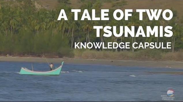 A Tale of Two Tsunamis